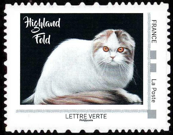 Highland Fold
