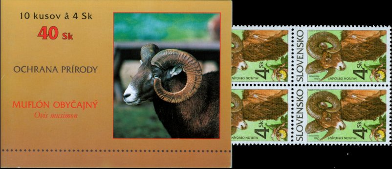 Animals Mouflon (Ovis musimon)