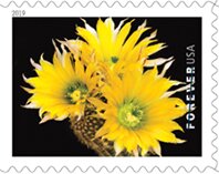 Stamp, Echinocereus dasyacanthus, United States of America,  , Cacti, Plants (Flora)