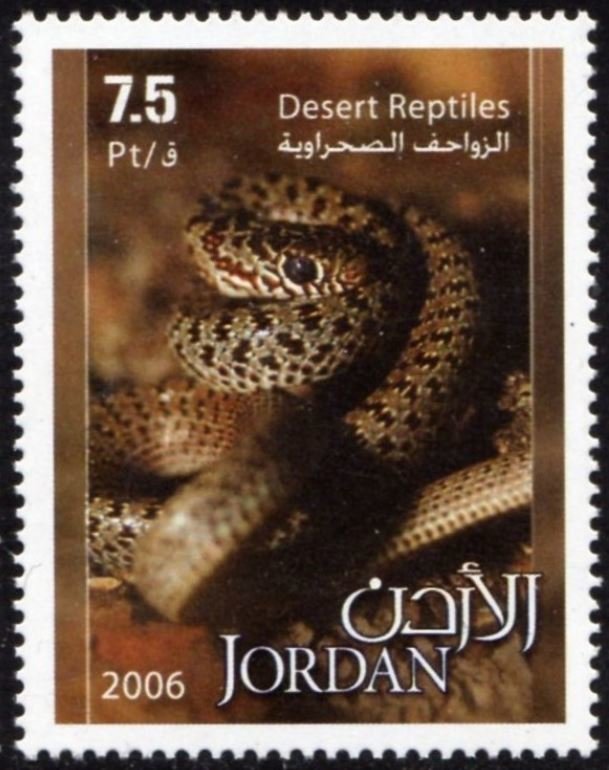 Snake
