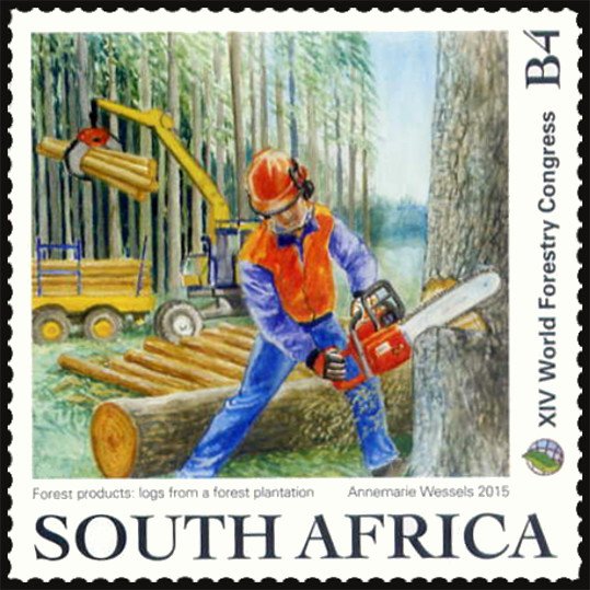 Forestry - Logs from a Forest Plantation