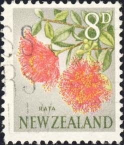 Climbing Rata (Metrosideros fulgens)
