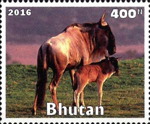 Stamp, African Animals, Cinderellas,  , Animals (Fauna), Antelopes, Mammals