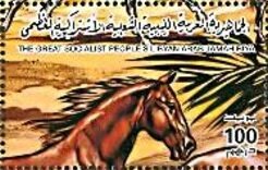 Horses