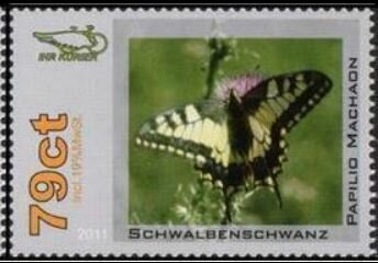 Papilio machaon