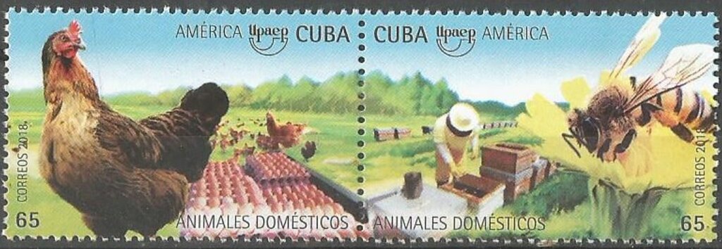 UPAEP - Domestic Animals