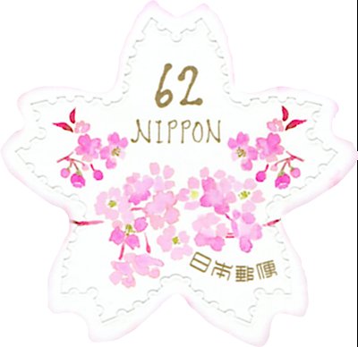 Cherry Blossoms