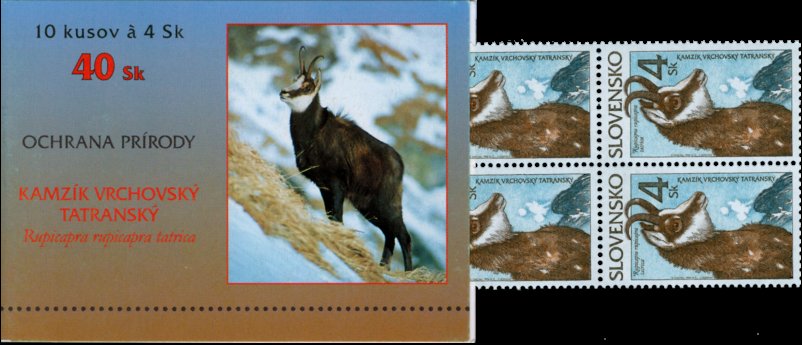 Animals Chamois (Rupicapra rupicapra)