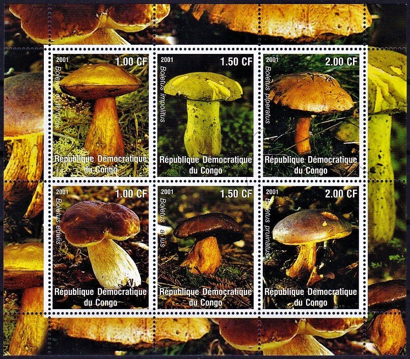 Various Mushrooms