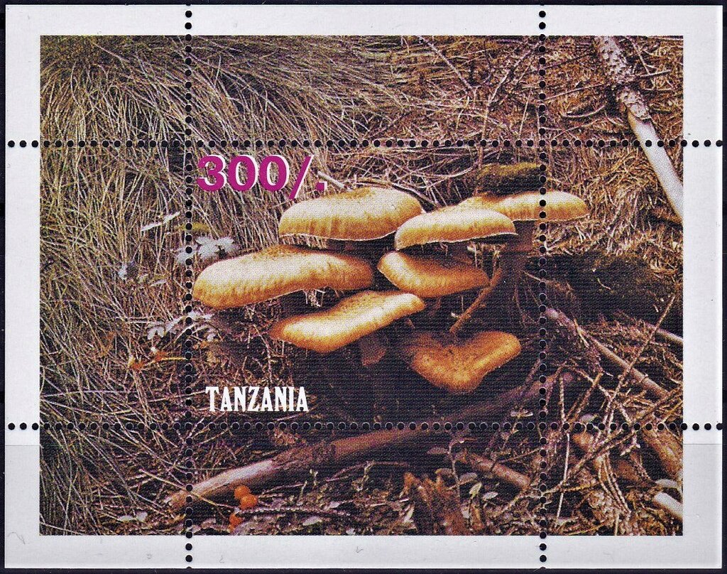 Mushrooms