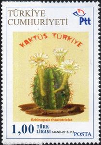 Stamp, Cacti, Personalized and Private Mail Stamps,  , Cacti, Plants (Flora)