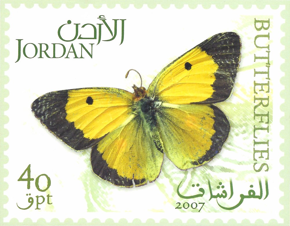 Butterfile