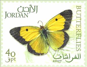 Souvenir Sheet, Butterfile, Jordan,  , Animals (Fauna), Butterflies, Insects