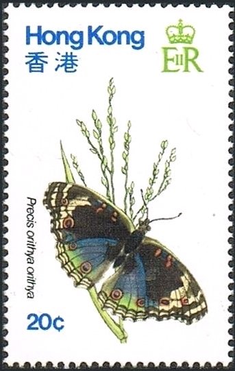 Blue Pansy (Precis orithya)