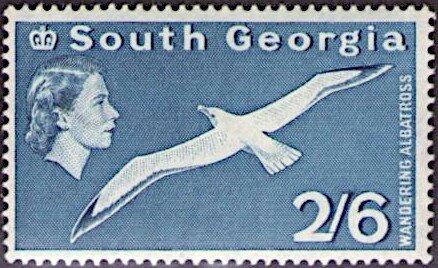 Wandering Albatross
