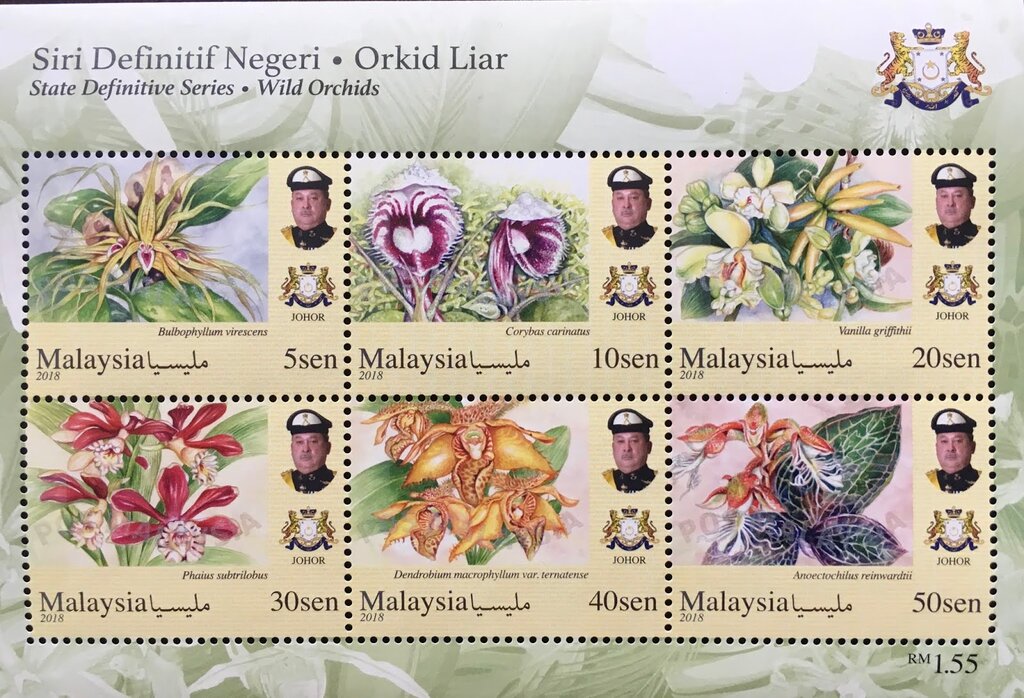 Orchids of Malaysia