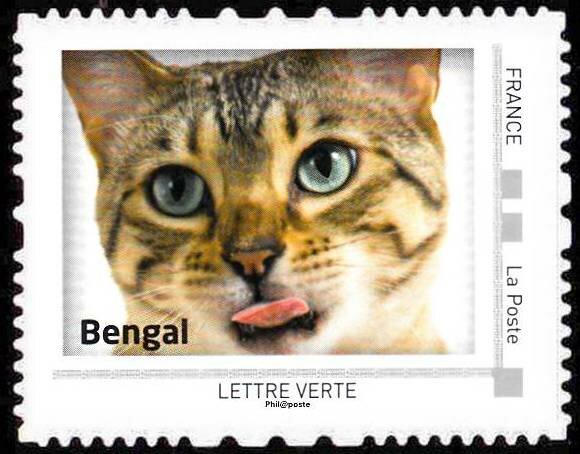 Bengal