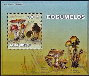 Mini Sheet, Amanita muscaria/Morchella elata, Cinderellas,  , Mushrooms