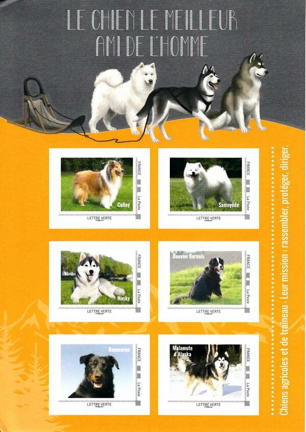 Farming dogs