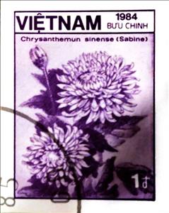 Stamp, Chrysanthemum sinense, Vietnam,  , Flowers, Plants (Flora)