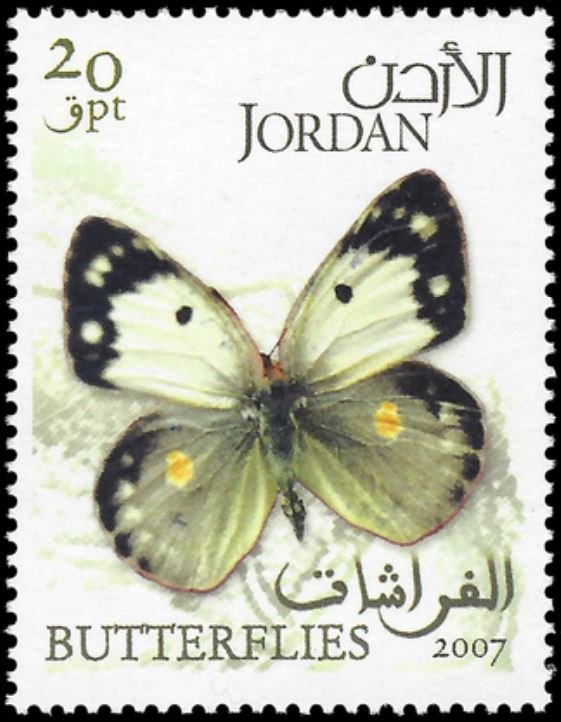 Butterfile