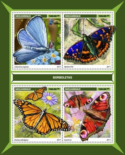 Butterflies