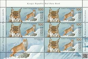 Mini Sheet, Turkestan lynx (Lynx lynx isabellinus), Kyrgyzstan,  , Animals (Fauna), Cats of Prey, Lynx, Mammals