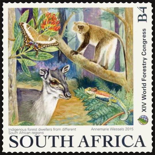 Forestry - Indigenous Forest Dwellers