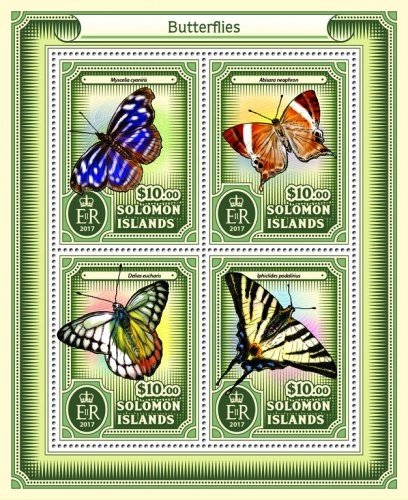 Butterflies