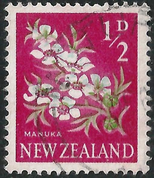 Manuka (Leptospermum scoparium)