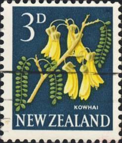 Kowhai (Sophora microphylla)