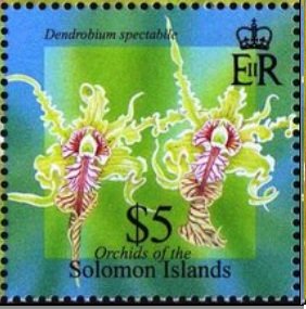 Stamp, Dendrobium spectabile, Solomon Islands,  , Flowers, Orchids, Plants (Flora)