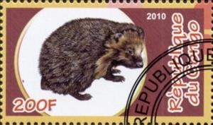 Stamp, Insectivores, Cinderellas,  , Animals (Fauna), Mammals