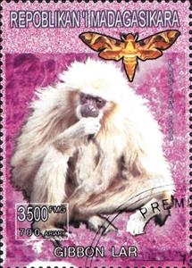 Stamp, Gibbon Lar, Cinderellas,  , Animals (Fauna), Mammals, Monkeys