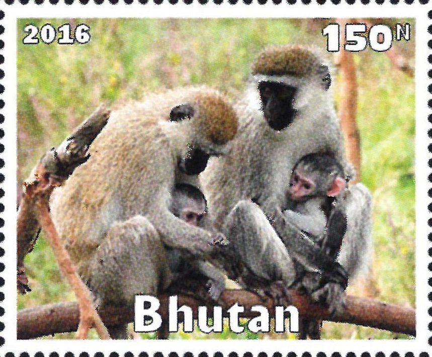 African Animals