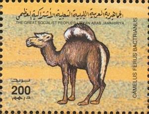 Stamp, Camelus ferus bactrianus, Libya,  , Camels