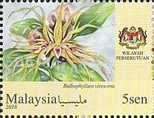 Orchids of Malaysia