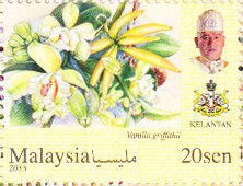 Orchids of Malaysia