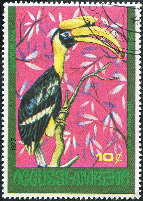 Ramphastos Toco