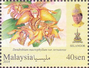 Stamp, Orchids of Malaysia, Federal Malay States,  , Orchids
