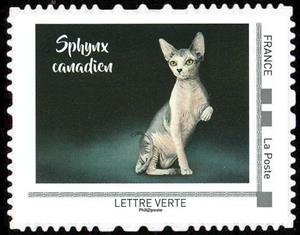 Stamp, Sphinx Canadien, France,  , Animals (Fauna), Cats, Mammals