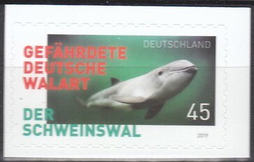 Porpoise