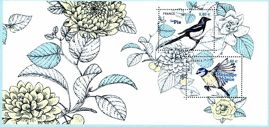 Birds of our Gardens