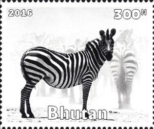 Stamp, African Animals, Cinderellas,  , Animals (Fauna), Mammals, Zebras