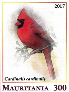 Stamp, Cardinalis cardinalis, Cinderellas,  , Animals (Fauna), Birds