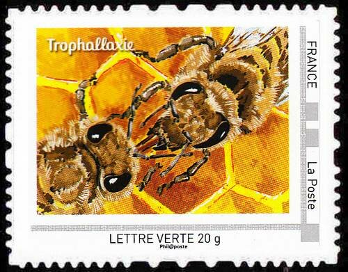 The bees that's life Trophallaxie