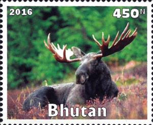 Stamp, Wild Animals, Cinderellas,  , Animals (Fauna), Deer, Mammals