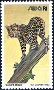 Leopard (Panthera pardus)