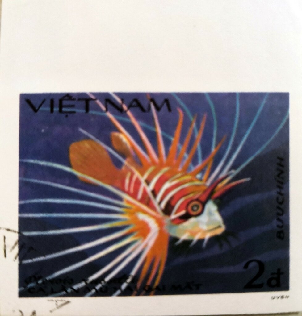 Russel's Lionfish (Pterois russelli)