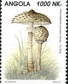 Stamp, Mushrooms, Angola,  , Mushrooms
